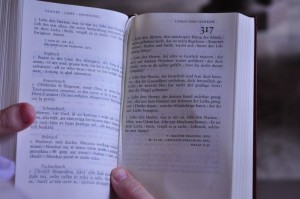 Birgit+Oli_20140712-151936_DSC_7308.NEF