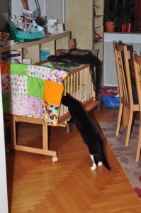 Hannah_20140708-214512_DSC_7032